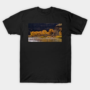 Golden Trees T-Shirt